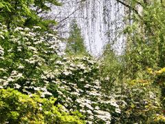 -新虹桥中心花园