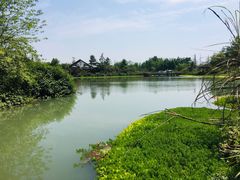 -桤木河湿地公园