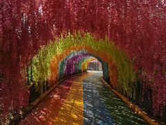 -渭南桃花源民俗文化园