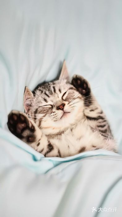 小脚丫儿童摄影(勒泰中心商场店)图片