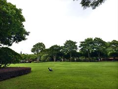 -顺峰山公园