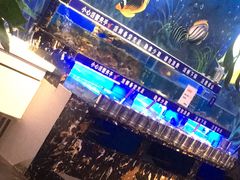-深海800米海鲜自助(万达广场店)