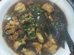 -全乐鱼馆·淳牌有机鱼直营店