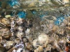 -008海鲜排档(朱家尖2号店)