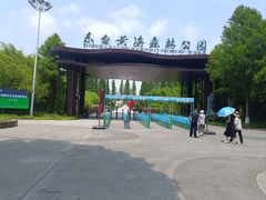 -黄海国家森林公园