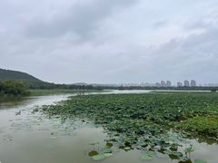 -云龙湖旅游景区