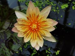 -北京植物园-展览温室