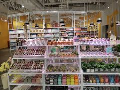 -KKV(上海月星环球港店)