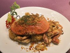 -欢乐海岸美食联盟