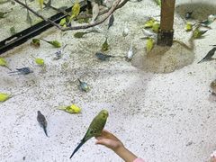 -上海大自然野生昆虫馆
