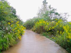 -南京老山国家森林公园