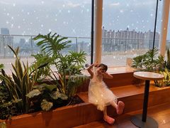 -Seesaw Coffee(朝阳大悦城店)