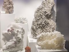 -重庆自然博物馆(新馆)