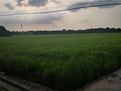 -嘉北郊野公园