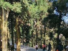 -南岳衡山风景名胜区