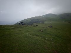 -大姆山草场