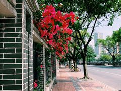 -四川大学(望江校区)