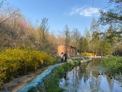 -白水寺森林公园