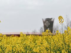 -国际非物质文化遗产博览园