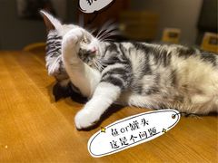 -咖法森林·咖啡  酒吧(天河店)