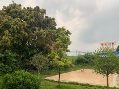 -水上人家河鲜
