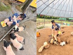 -前小桔亲子创意农场·草莓采摘·露营烧烤