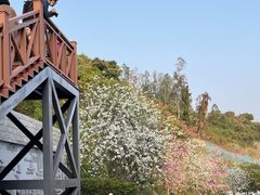 -小南山公园