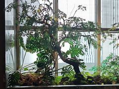 -海立阁海鲜江浙菜(漕河泾印象城店)