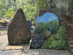 -西双版纳原始森林公园