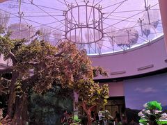 -陕西自然博物馆