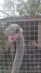 -萌宠亲子动物乐园(槐房万达店)