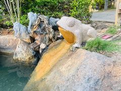 -龙佳生态温泉山庄