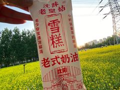 -长白岛森林公园