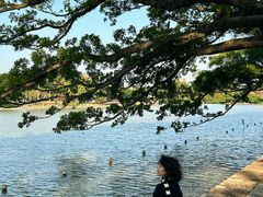 -江心屿景区