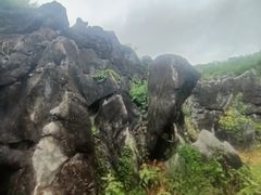 -千岛湖石林