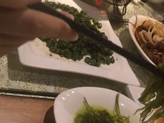-新疆伏拉沃餐厅(白龙南路店)