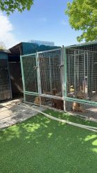 -萌宠亲子动物乐园(槐房万达店)