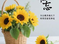 -明月食府(二区干二路店)