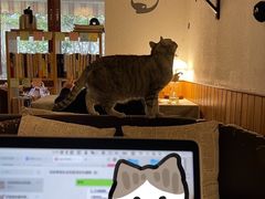 -隅cafe(傅厚岗店)