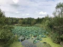 -昆山城市生态森林公园