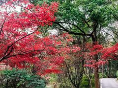 -岳麓山风景名胜区
