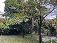 -四海公园(南山区)