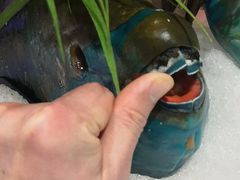 -海玥荟海鲜姿造自助餐厅(欧罗巴广场店)