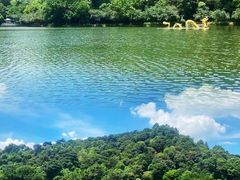 -西樵山风景名胜区-天湖公园