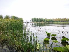 -长春市南湖公园