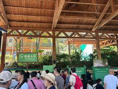 -野象谷景区