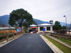 -龙坞茶村