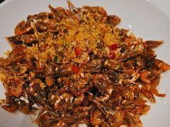 -侨美·唐荔园·40年地道粤菜