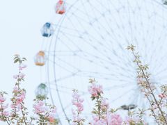 -观澜湖生态运动公社