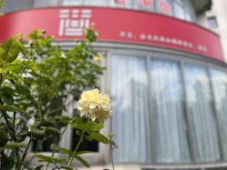 -酉嘉瑜伽YO+YOGA